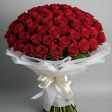 Букет 101 Красная роза Блэк Мэджик в Красный Октябрь