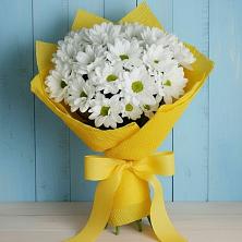Букет цветов из:  Хризантемы в Красный Октябрь