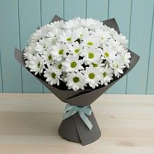 Букет цветов из:  Хризантемы #REPLACE_PRED# Красный Октябрь