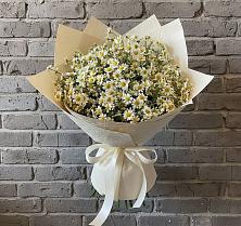 Букет цветов из:  Ромашки в Красный Октябрь
