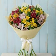 Букет цветов из:  Альстромерии в Красный Октябрь