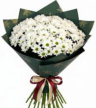 Букет цветов из:  Хризантемы в Красный Октябрь