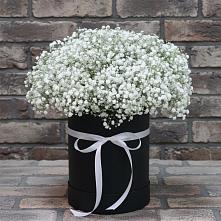 Цветочная композиция из Гипсофила в шляпной коробке в Красный Октябрь