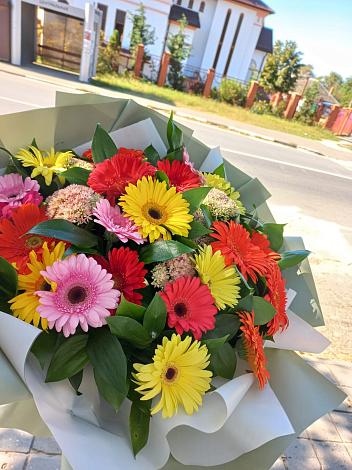 Букет цветов из: Герберы в Красный Октябрь