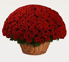 Премиум букет из: Розы #REPLACE_PRED# Красный Октябрь